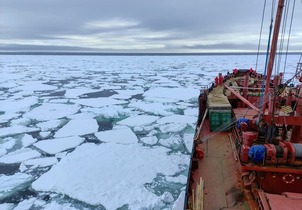 Арктический плавучий университет-2021: за что любят Арктику